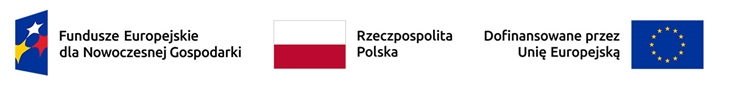 Logo strip: Fundusze Europejskie dla Nowoczesnej Gospodarki, Republic of Poland, Co-funded by the European Union